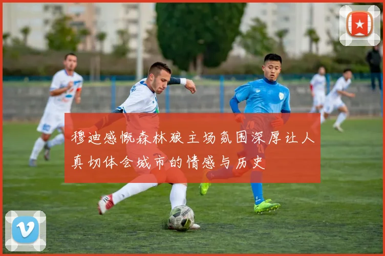 穆迪感慨森林狼主场氛围深厚让人真切体会城市的情感与历史